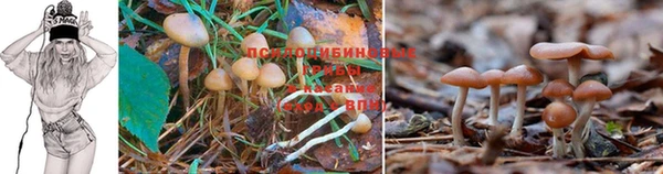 меф VHQ Кущёвская